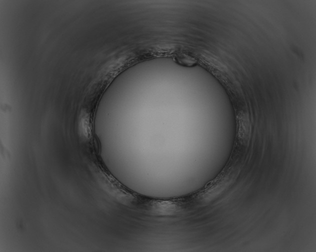 X0000090700287200708031419