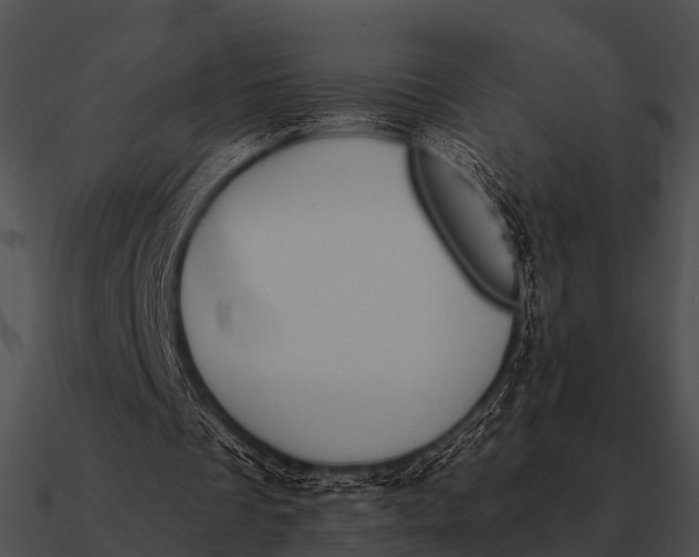 X0000090700289200708031419