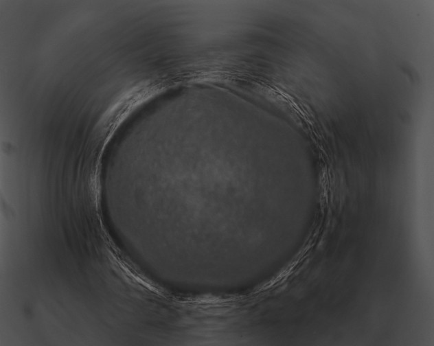 X0000090700290200708031419