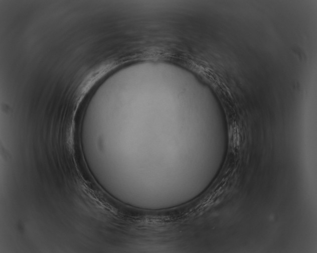 X0000090700292200708031419