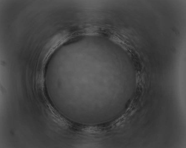 X0000090700293200708031419