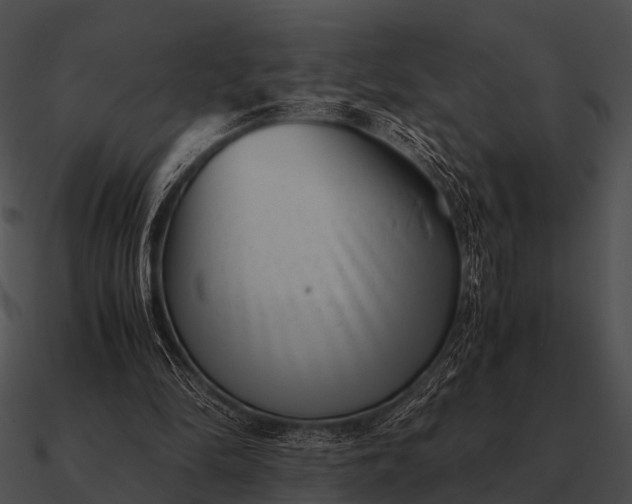 X0000090700294200708031419