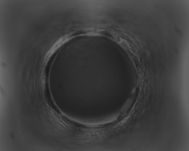 X0000090700295200708031419