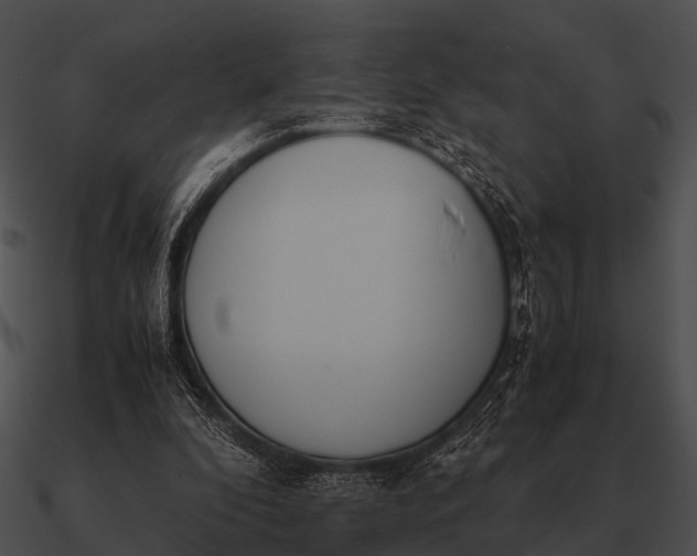 X0000090700296200708031419