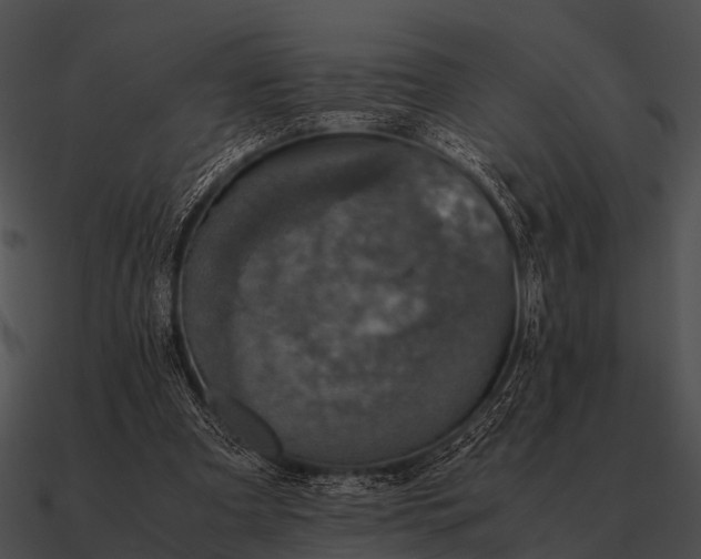 X0000090700297200708031419