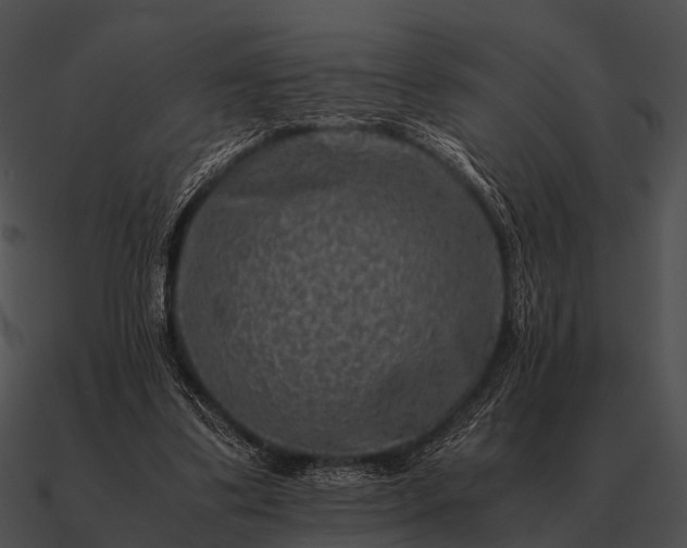 X0000090700299200708031419