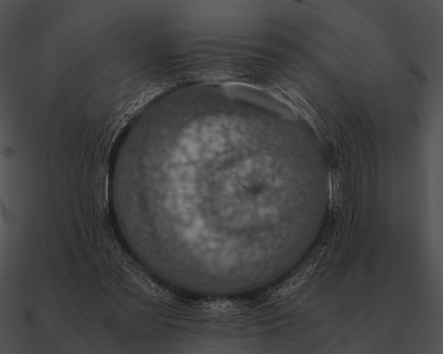 X0000090700301200708031419