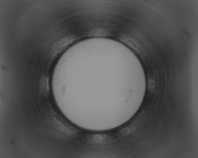 X0000090700302200708031419