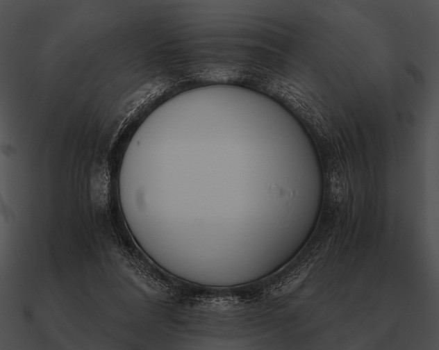 X0000090700304200708031419