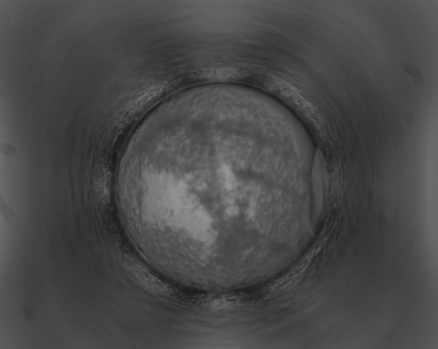 X0000090700305200708031419