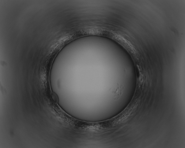 X0000090700306200708031418