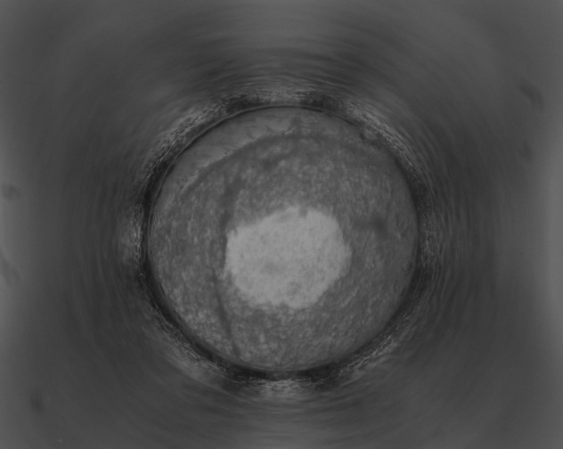 X0000090700309200708031418