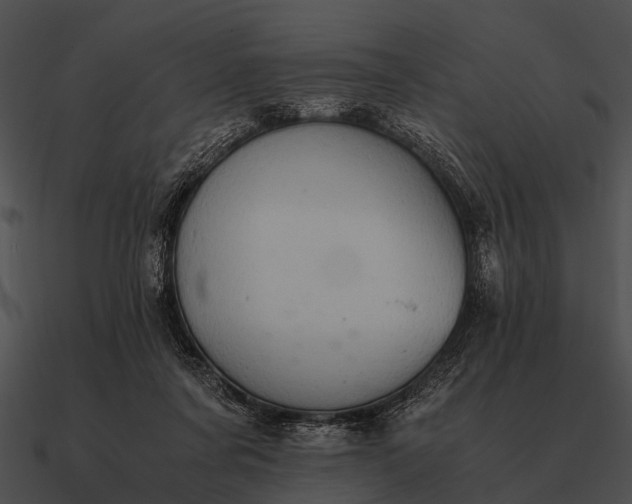 X0000090700311200708031418