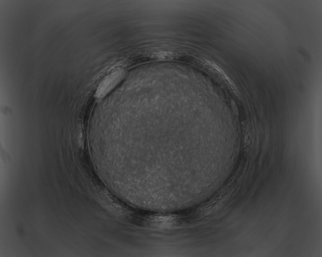 X0000090700313200708031418