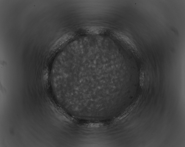 X0000090700314200708031418