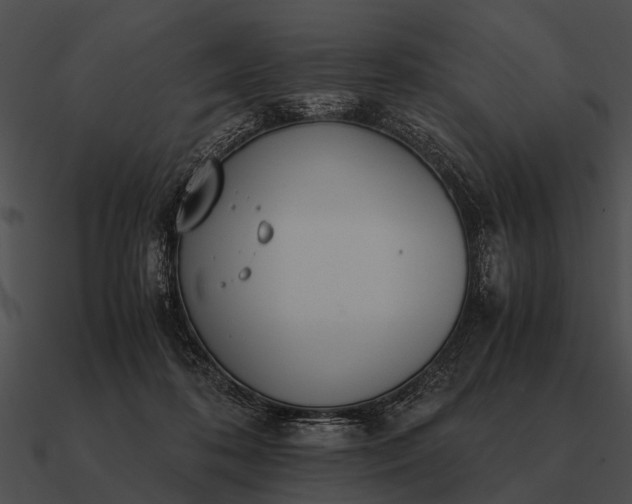 X0000090700316200708031418