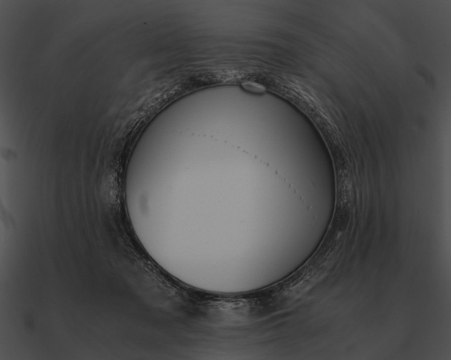 X0000090700317200708031418