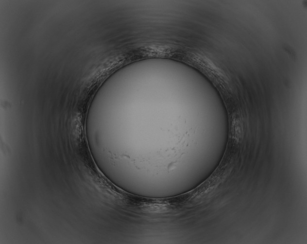 X0000090700318200708031418