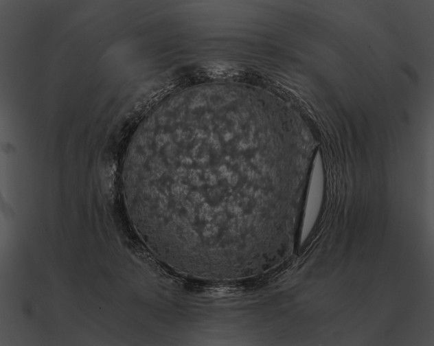 X0000090700319200708031418