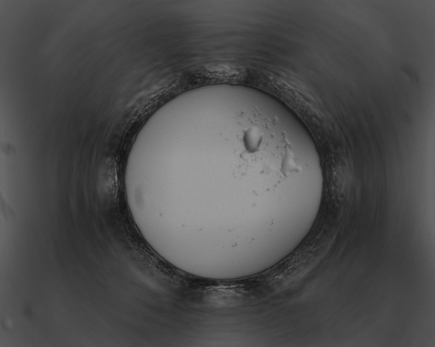 X0000090700320200708031418