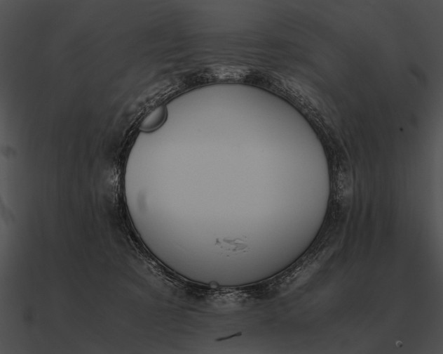 X0000090700321200708031418