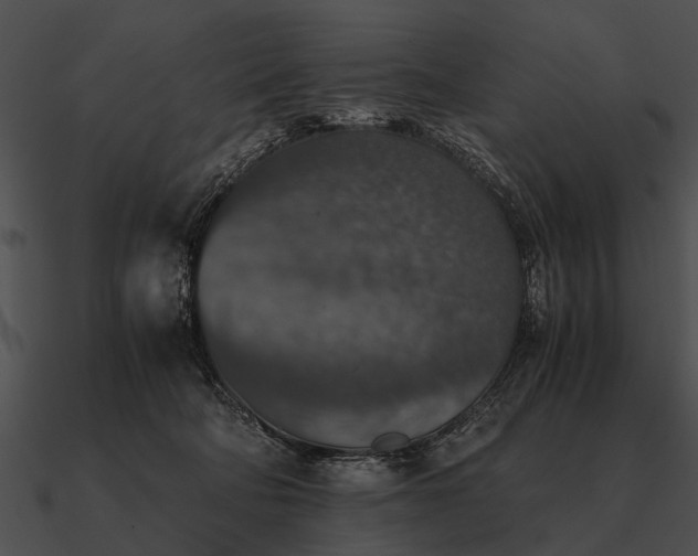 X0000090700322200708031418