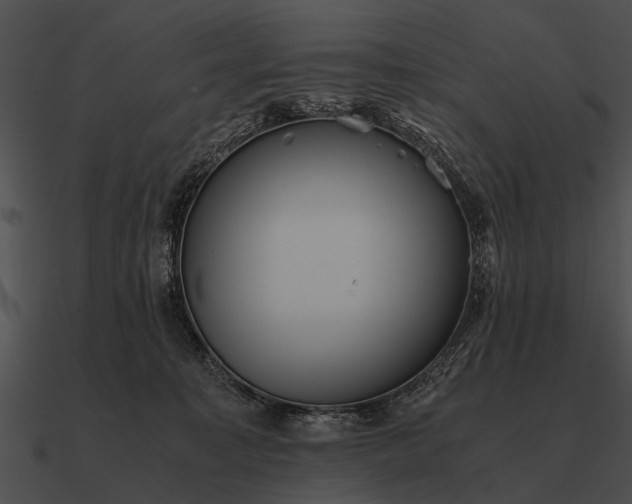 X0000090700323200708031418