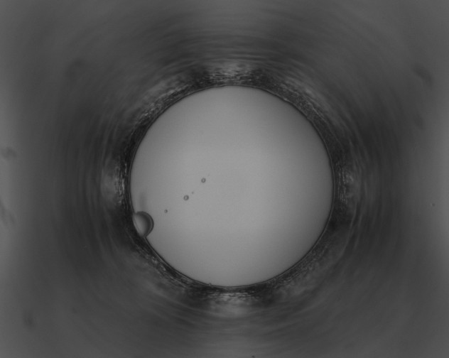 X0000090700324200708031418