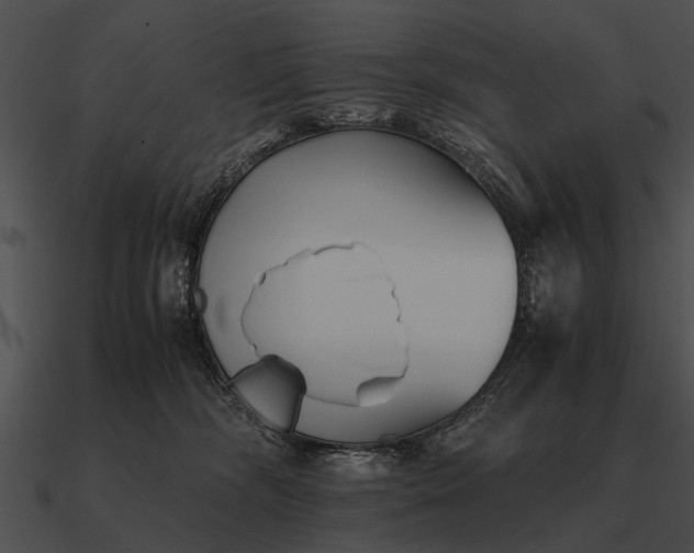 X0000090700326200708031418