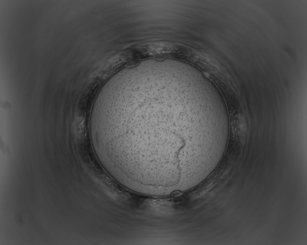 X0000090700327200708031418