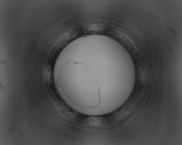 X0000090700328200708031418