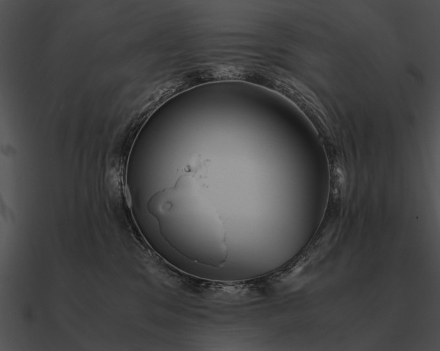 X0000090700329200708031418