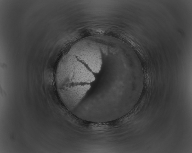 X0000090700331200708031418