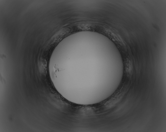 X0000090700332200708031418