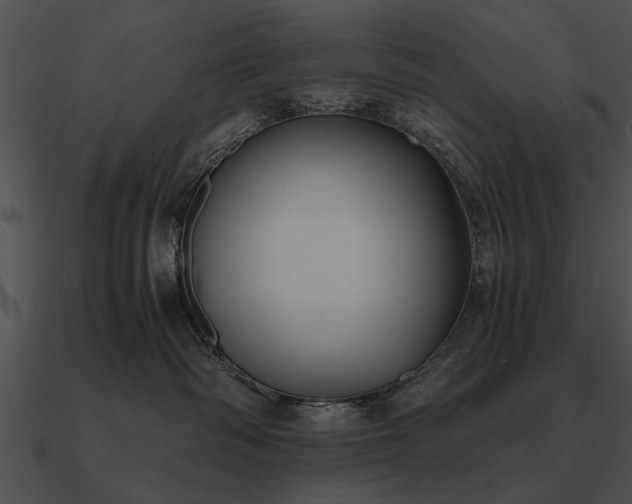 X0000090700334200708031418