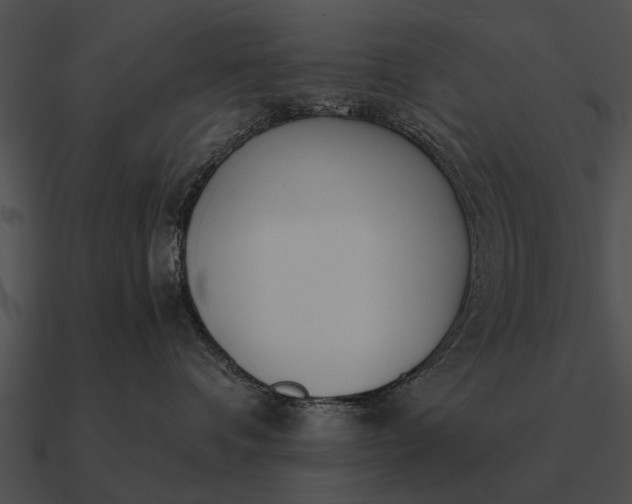 X0000090700336200708031418