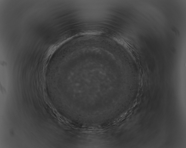 X0000090700337200708031418