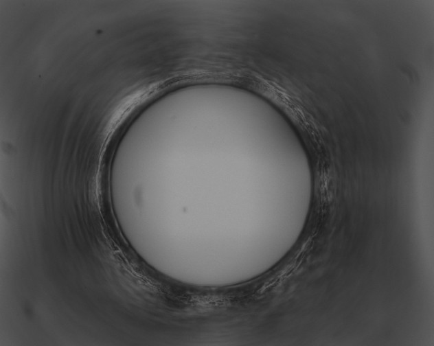 X0000090700340200708031418