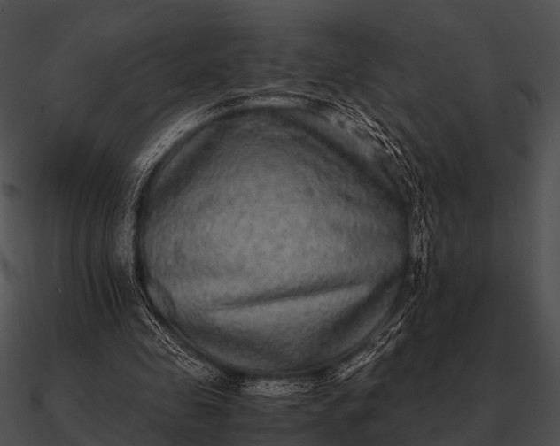 X0000090700341200708031418