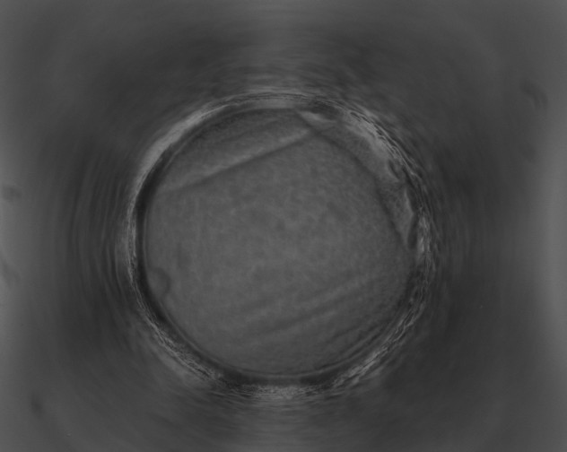 X0000090700342200708031418