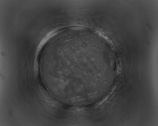 X0000090700343200708031418