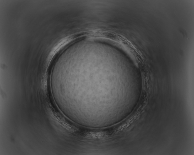 X0000090700344200708031418