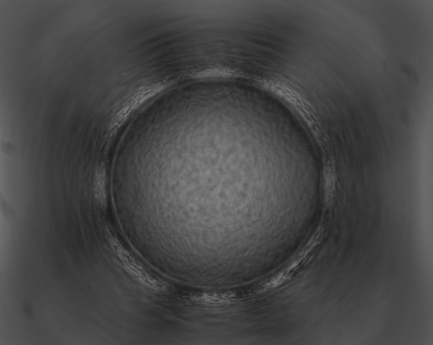 X0000090700345200708031418