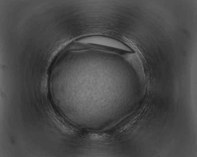 X0000090700346200708031418