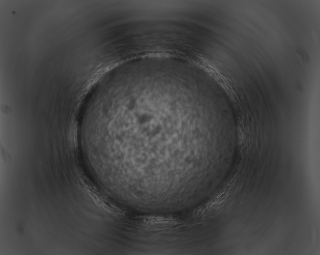 X0000090700347200708031418