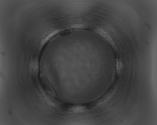 X0000090700348200708031418