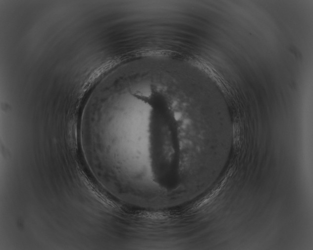 X0000090700349200708031418