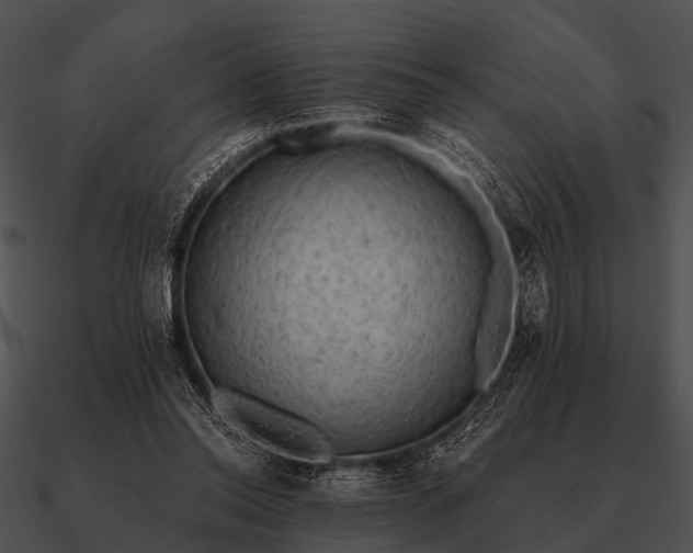 X0000090700350200708031418