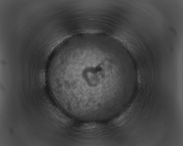 X0000090700351200708031418