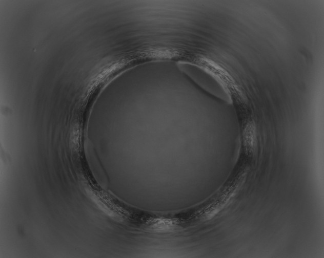 X0000090700352200708031418